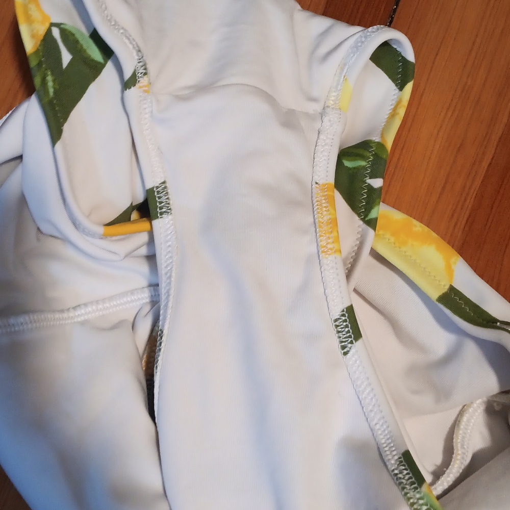 Aerie Lemon Bikini - Picture 9 of 9